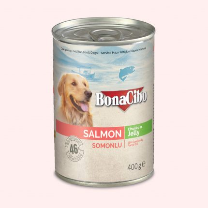 BonaCibo Canned Wet Food for Adult Dogs Chunks in Jelly